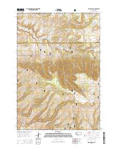 2014 Map of Indian Spring, 2014 Print