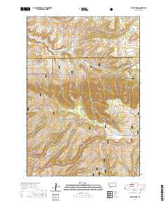 2020 Map of Indian Spring, 2020 Print