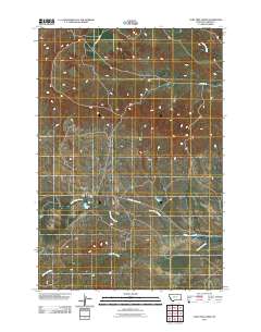 2011 Map of Lone Tree Creek, 2011 Print