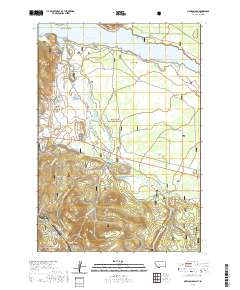 2020 Map of Madison Arm, 2020 Print