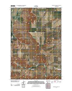 2011 Map of Madison Plateau, 2011 Print