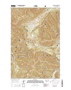 2014 Map of Mixes Baldy, 2014 Print