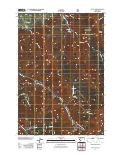 2011 Map of Mount Ellis, 2011 Print