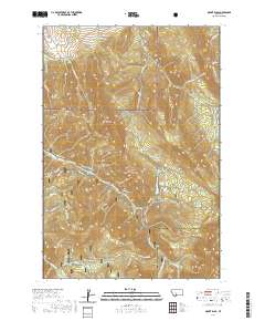 2020 Map of Mount Ellis, 2020 Print