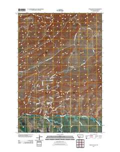 2011 Map of Nixon Gulch, 2011 Print
