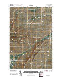 2011 Map of Red Hill, 2011 Print