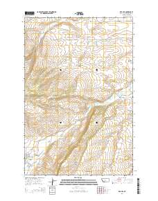 2014 Map of Red Hill, 2014 Print