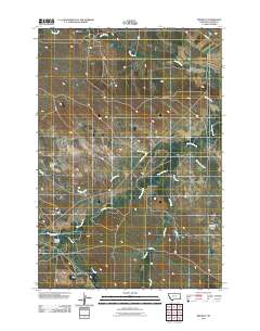 2011 Map of Ridgway, 2011 Print