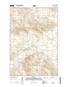2014 Map of Ridgway, 2014 Print