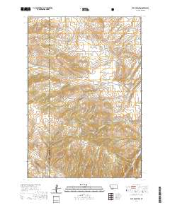 2020 Map of Ruby Mountain, 2020 Print