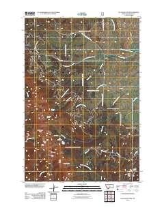 2011 Map of Sacagawea Peak, 2011 Print