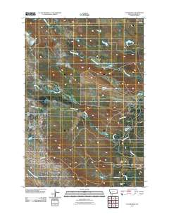 2011 Map of Taylor Hills, 2011 Print