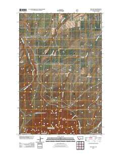 2011 Map of The Arch, 2011 Print