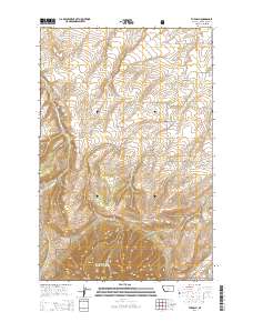 2014 Map of The Arch, 2014 Print