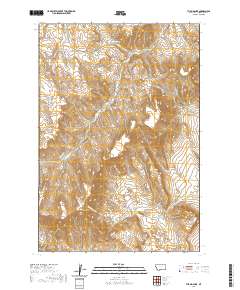 2020 Map of The Big Slide, 2020 Print