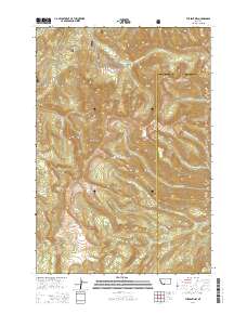 2014 Map of The Sentinel, 2014 Print