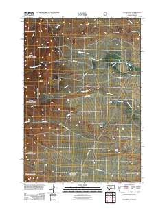 2011 Map of Tolman Flat, 2011 Print