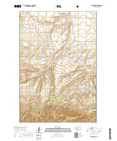 2020 Map of Twin Sisters, 2020 Print