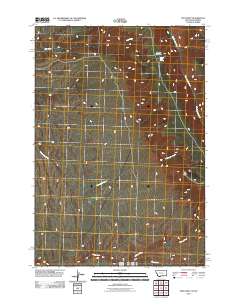 2011 Map of Two Point, 2011 Print