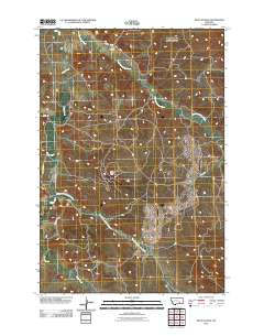 2011 Map of Wolf School, 2011 Print