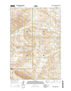 2014 Map of Woody Mountain SE, 2014 Print