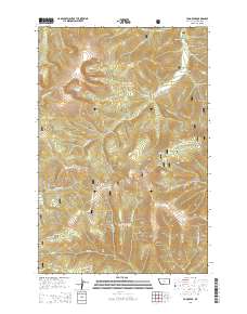 2014 Map of Yogo Peak, 2014 Print