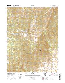 2014 Map of Cattle Camp Spring, 2014 Print