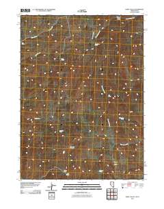 2011 Map of Dairy Valley, 2011 Print