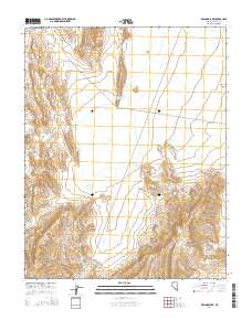 2014 Map of Delamar Lake, 2014 Print
