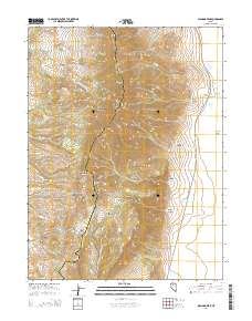 2014 Map of Diamond Peak, 2014 Print
