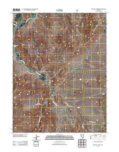 2011 Map of Mitchell Spring, 2011 Print