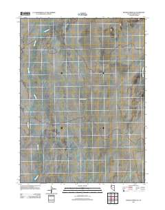 2011 Map of Pidgeon Spring SE, 2011 Print