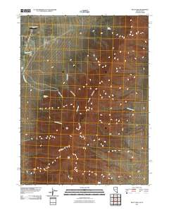 2011 Map of Pilot Peak, 2011 Print