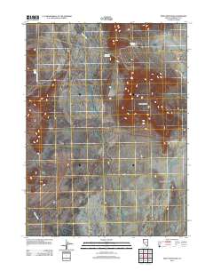 2011 Map of Pinto Mountain, 2011 Print