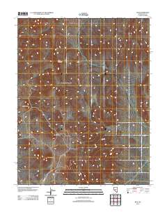 2012 Map of Rays, 2012 Print