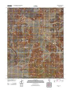 2012 Map of Reveille, 2012 Print