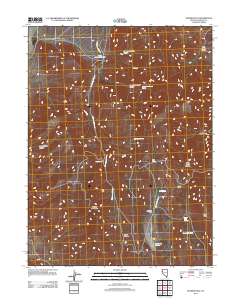 2011 Map of Spanish Flat, 2011 Print