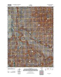 2011 Map of Swan Lake, 2011 Print