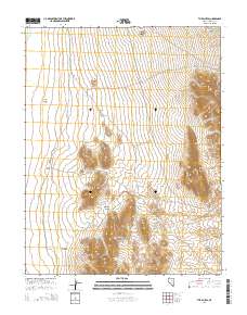 2014 Map of The Bluffs, 2014 Print