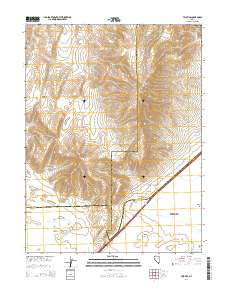 2014 Map of Two Tips, 2014 Print