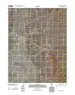 2012 Map of Waldy Pond, 2012 Print