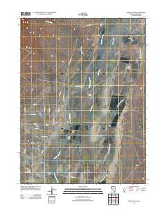 2011 Map of Willow Point, 2011 Print