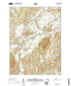 2019 Map of Pine Island, 2019 Print