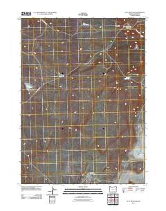 2011 Map of Acty Mountain, 2011 Print