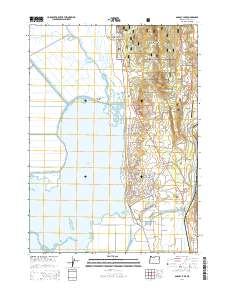 2014 Map of Agency Lake, 2014 Print