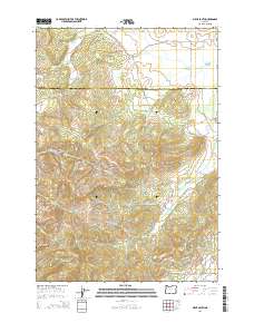 2014 Map of Airlie South, 2014 Print