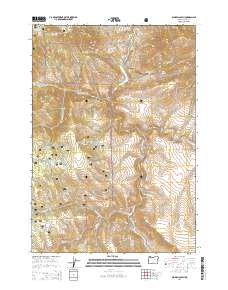 2014 Map of Aldrich Gulch, 2014 Print