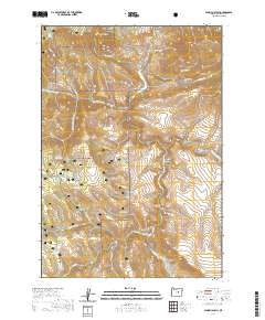 2020 Map of Aldrich Gulch, 2020 Print