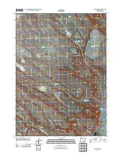 2011 Map of Alger Lake, 2011 Print