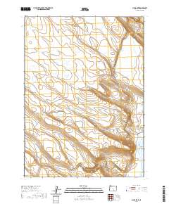 2020 Map of Alger Lake, 2020 Print
